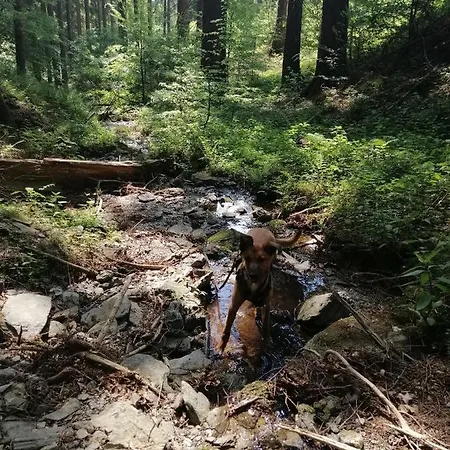 Modernisierte Im Schoenen Sauerland