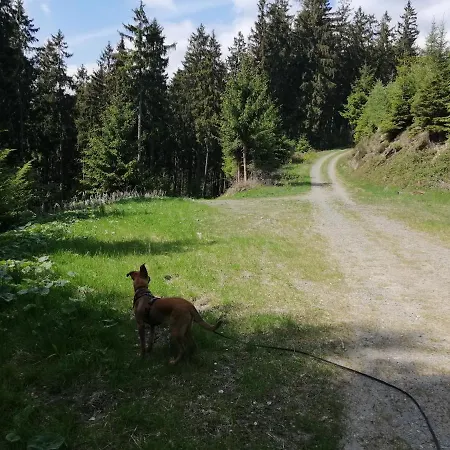 Im Schoenen Sauerland Διαμέρισμα *