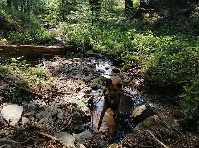 Im Schönen Sauerland