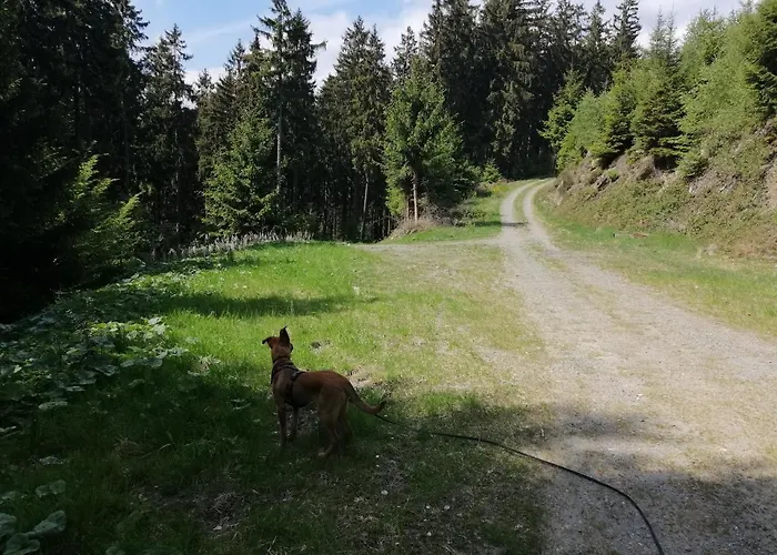 Im Schönen Sauerland Apartment *